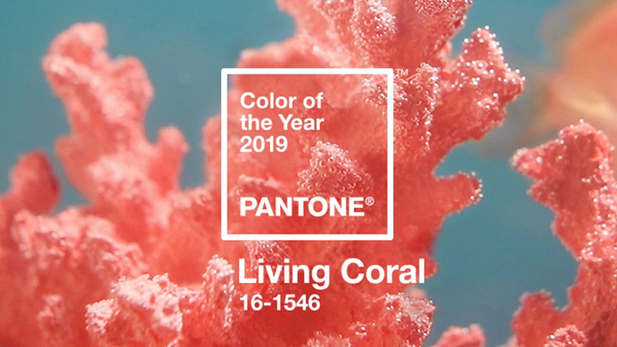 Coral Color of the year Pantone 2019
